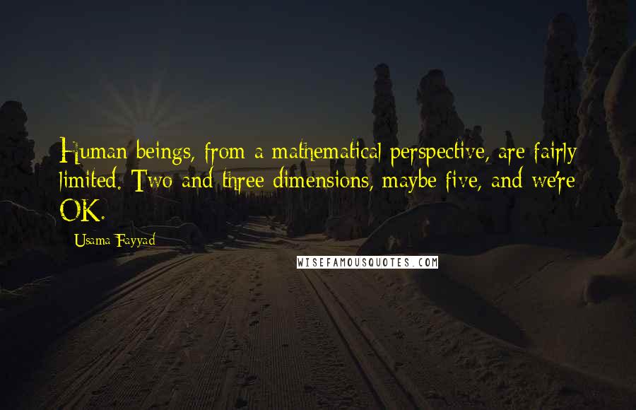 Usama Fayyad Quotes: Human beings, from a mathematical perspective, are fairly limited. Two and three dimensions, maybe five, and we're OK.