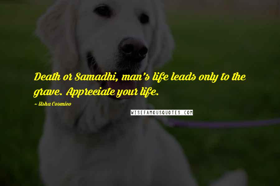 Usha Cosmico Quotes: Death or Samadhi, man's life leads only to the grave. Appreciate your life.