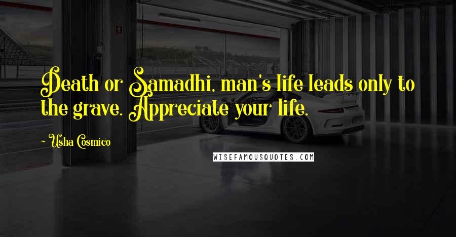 Usha Cosmico Quotes: Death or Samadhi, man's life leads only to the grave. Appreciate your life.