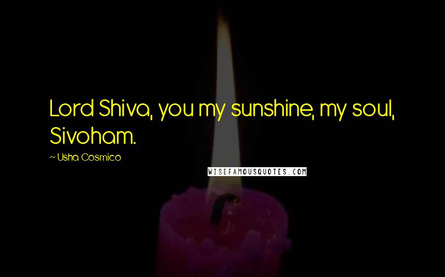 Usha Cosmico Quotes: Lord Shiva, you my sunshine, my soul, Sivoham.