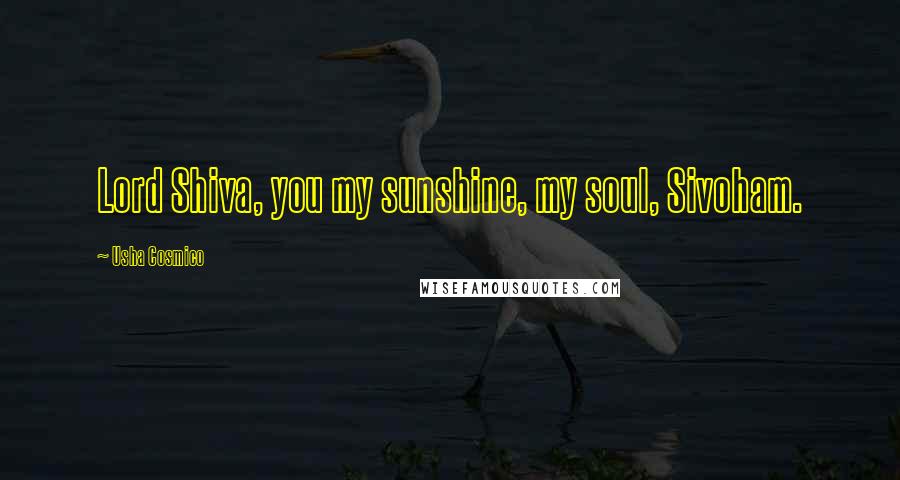 Usha Cosmico Quotes: Lord Shiva, you my sunshine, my soul, Sivoham.