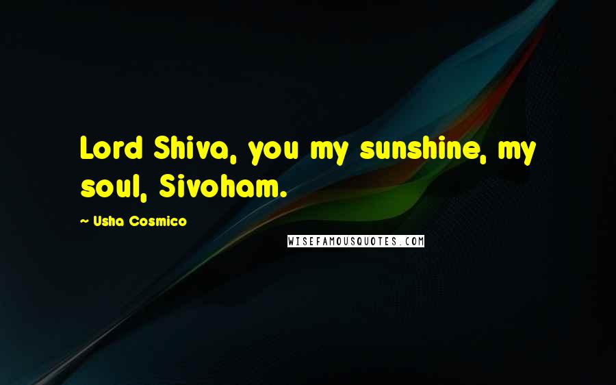 Usha Cosmico Quotes: Lord Shiva, you my sunshine, my soul, Sivoham.