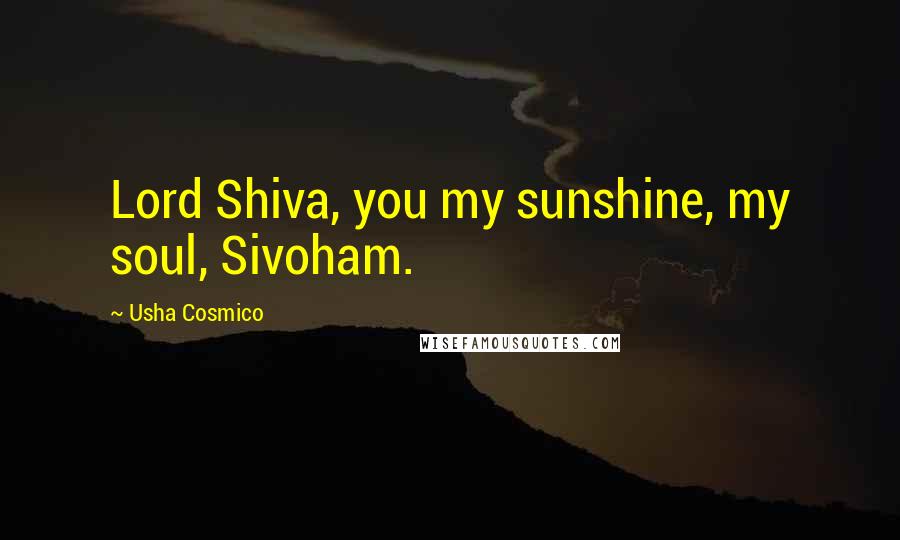 Usha Cosmico Quotes: Lord Shiva, you my sunshine, my soul, Sivoham.