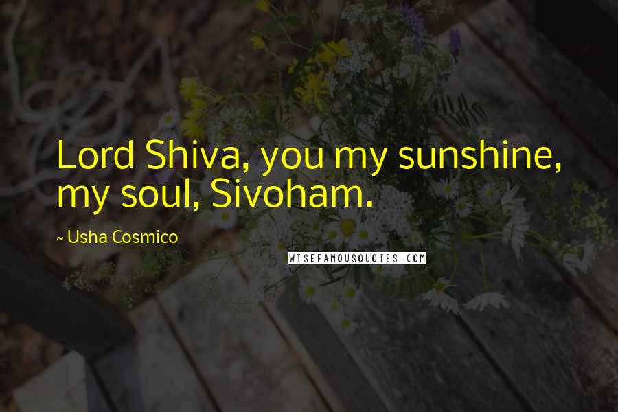 Usha Cosmico Quotes: Lord Shiva, you my sunshine, my soul, Sivoham.
