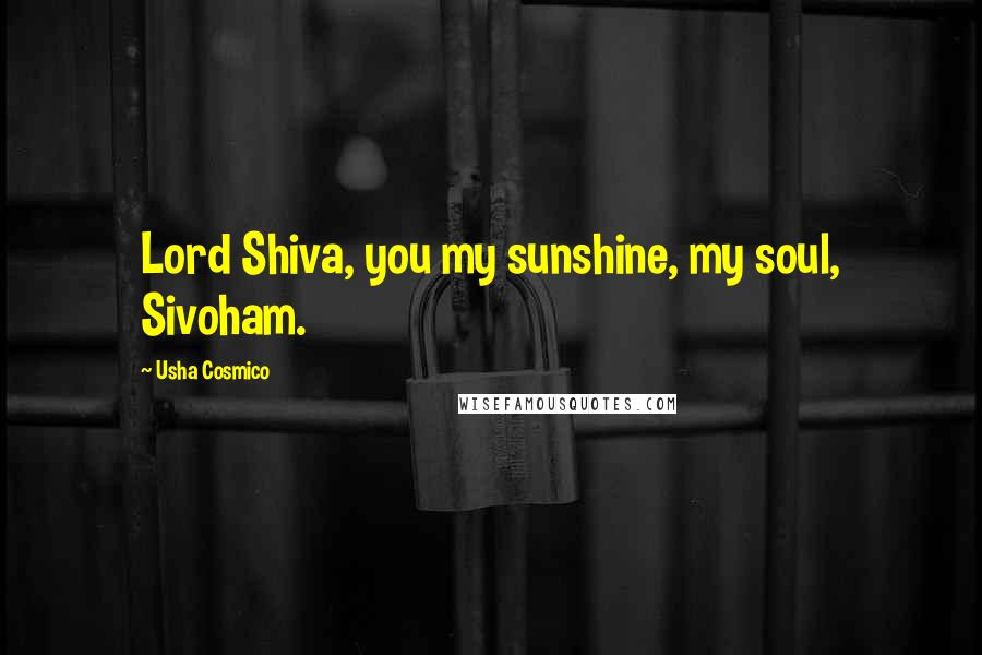 Usha Cosmico Quotes: Lord Shiva, you my sunshine, my soul, Sivoham.