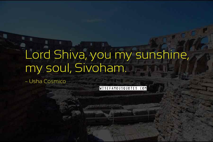 Usha Cosmico Quotes: Lord Shiva, you my sunshine, my soul, Sivoham.