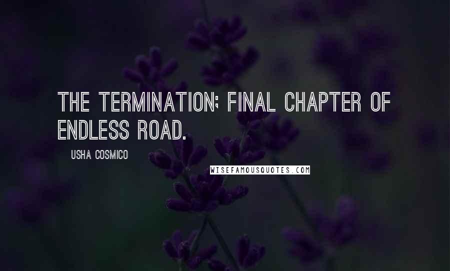 Usha Cosmico Quotes: The termination; final chapter of endless road.