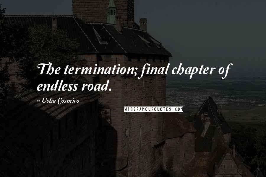 Usha Cosmico Quotes: The termination; final chapter of endless road.