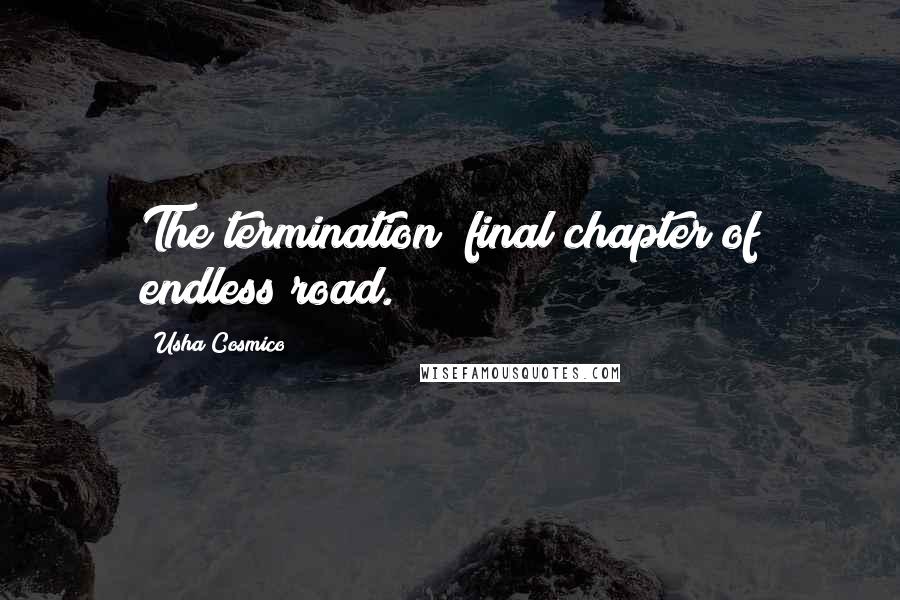Usha Cosmico Quotes: The termination; final chapter of endless road.