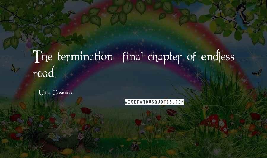 Usha Cosmico Quotes: The termination; final chapter of endless road.