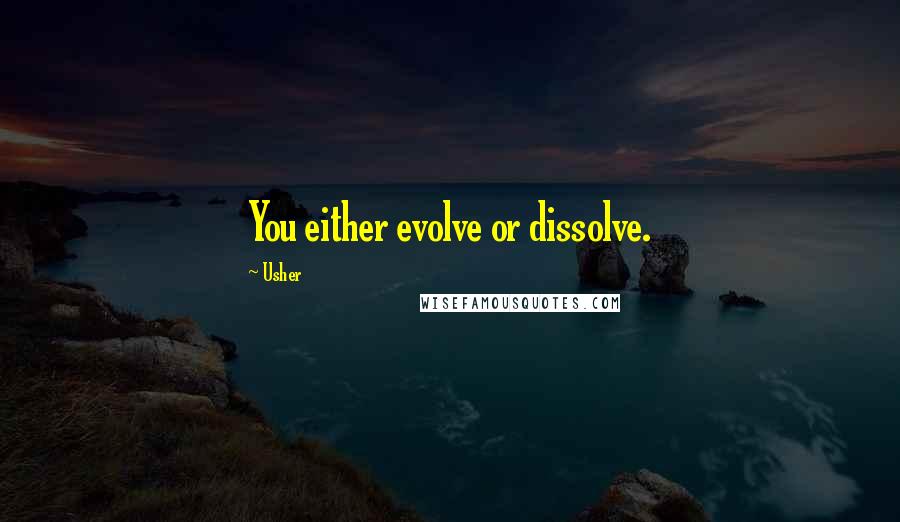 Usher Quotes: You either evolve or dissolve.