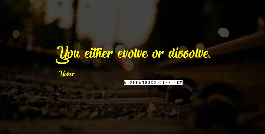 Usher Quotes: You either evolve or dissolve.