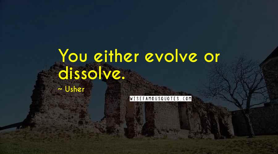 Usher Quotes: You either evolve or dissolve.