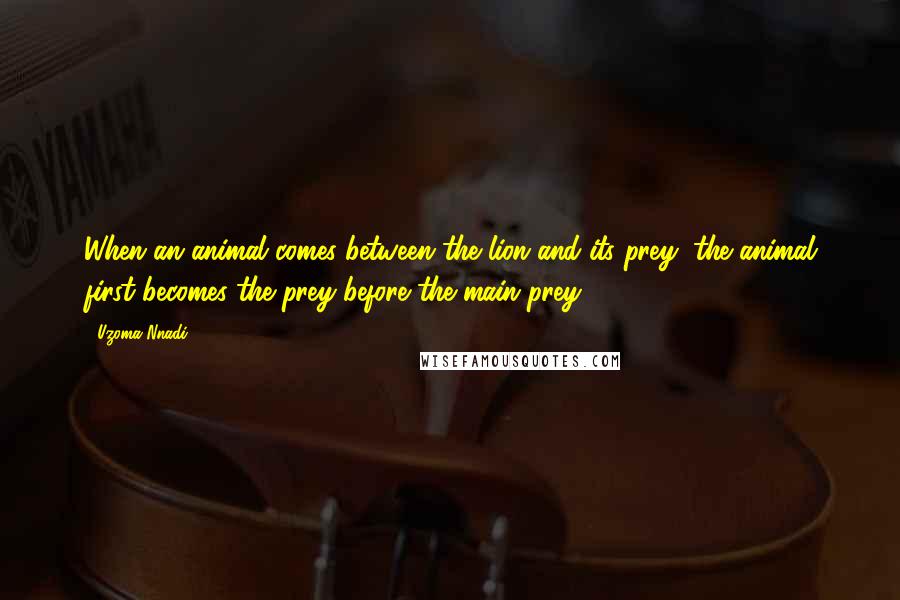 Uzoma Nnadi Quotes: When an animal comes between the lion and its prey, the animal first becomes the prey before the main prey.