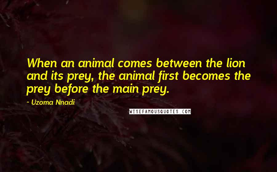 Uzoma Nnadi Quotes: When an animal comes between the lion and its prey, the animal first becomes the prey before the main prey.