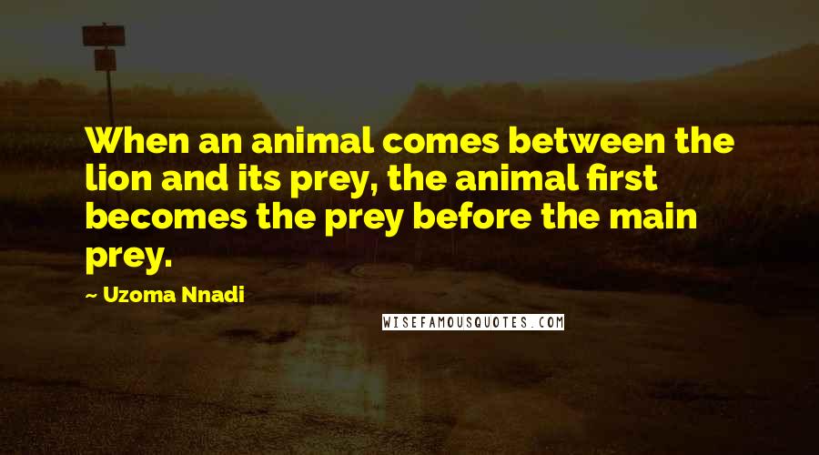 Uzoma Nnadi Quotes: When an animal comes between the lion and its prey, the animal first becomes the prey before the main prey.