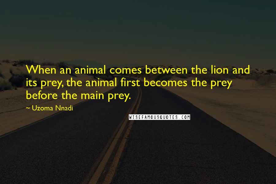 Uzoma Nnadi Quotes: When an animal comes between the lion and its prey, the animal first becomes the prey before the main prey.