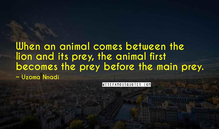 Uzoma Nnadi Quotes: When an animal comes between the lion and its prey, the animal first becomes the prey before the main prey.