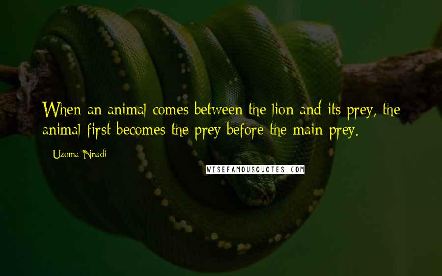 Uzoma Nnadi Quotes: When an animal comes between the lion and its prey, the animal first becomes the prey before the main prey.