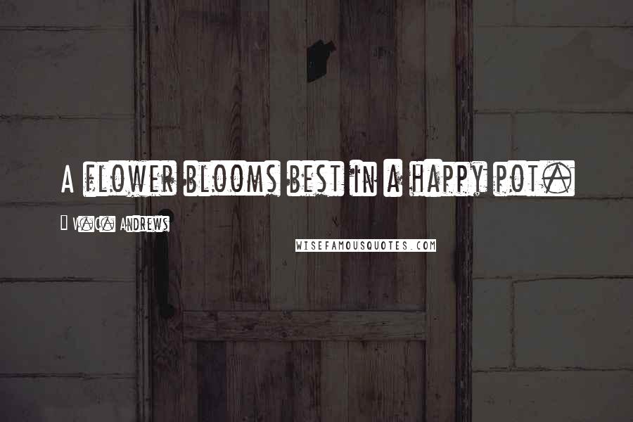 V.C. Andrews Quotes: A flower blooms best in a happy pot.