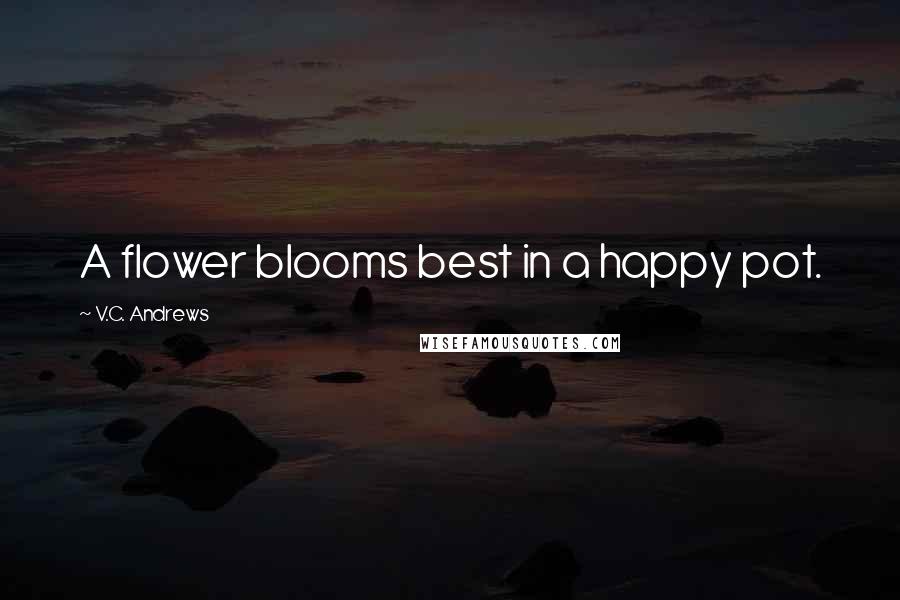 V.C. Andrews Quotes: A flower blooms best in a happy pot.