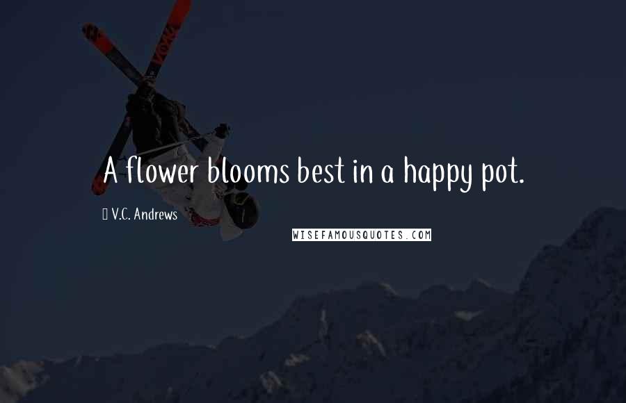 V.C. Andrews Quotes: A flower blooms best in a happy pot.