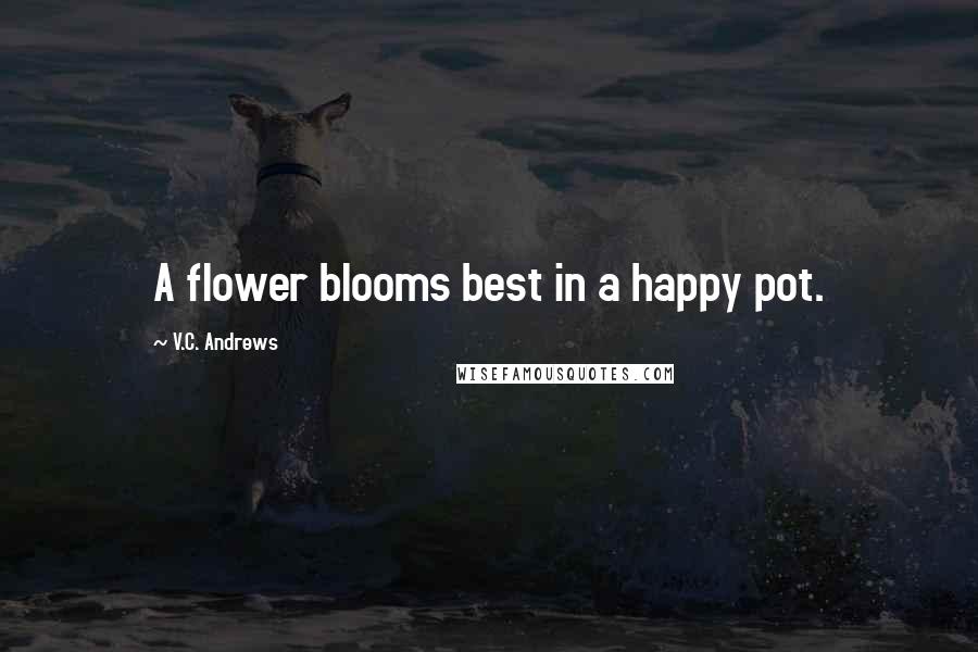 V.C. Andrews Quotes: A flower blooms best in a happy pot.