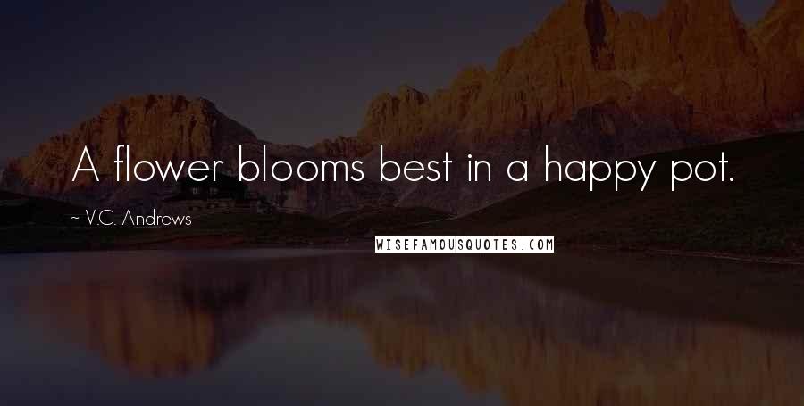 V.C. Andrews Quotes: A flower blooms best in a happy pot.