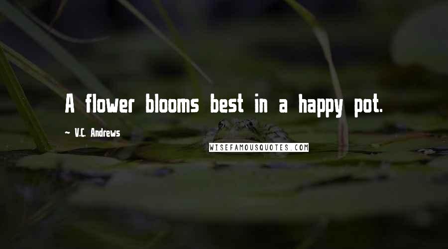 V.C. Andrews Quotes: A flower blooms best in a happy pot.