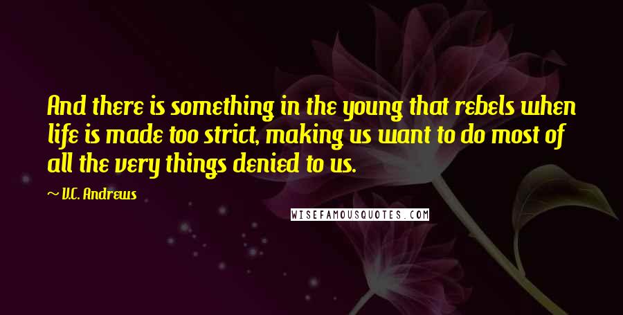 V.C. Andrews Quotes: And there is something in the young that rebels when life is made too strict, making us want to do most of all the very things denied to us.