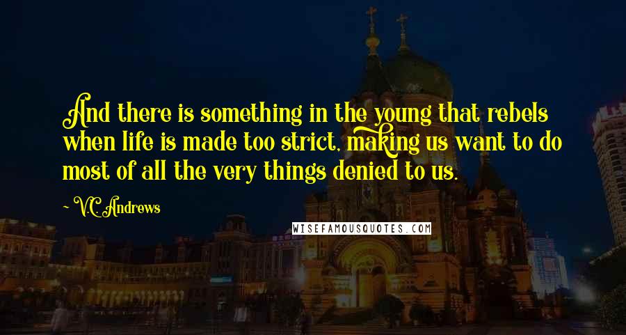 V.C. Andrews Quotes: And there is something in the young that rebels when life is made too strict, making us want to do most of all the very things denied to us.