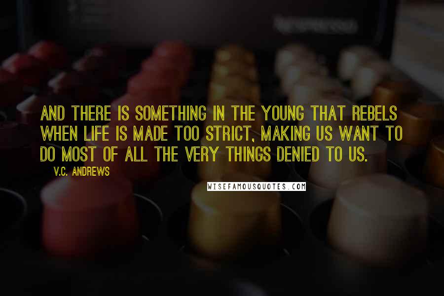 V.C. Andrews Quotes: And there is something in the young that rebels when life is made too strict, making us want to do most of all the very things denied to us.