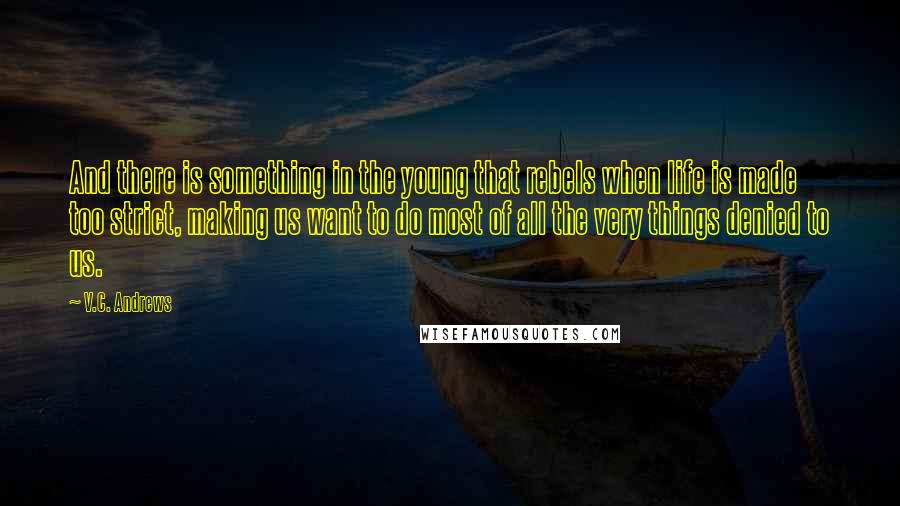 V.C. Andrews Quotes: And there is something in the young that rebels when life is made too strict, making us want to do most of all the very things denied to us.