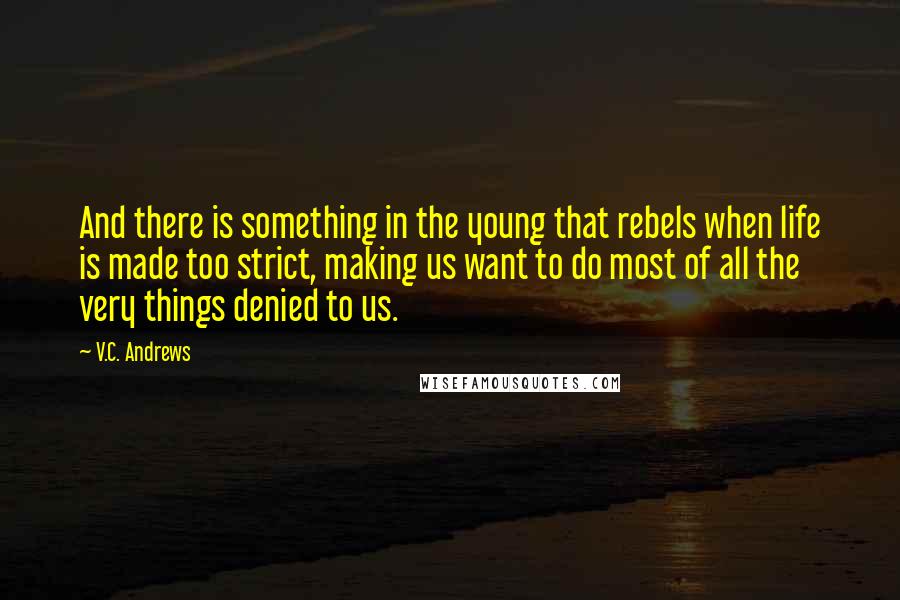 V.C. Andrews Quotes: And there is something in the young that rebels when life is made too strict, making us want to do most of all the very things denied to us.