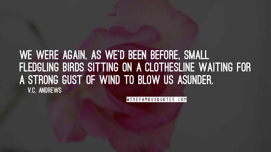 V.C. Andrews Quotes: We were again, as we'd been before, small fledgling birds sitting on a clothesline waiting for a strong gust of wind to blow us asunder.