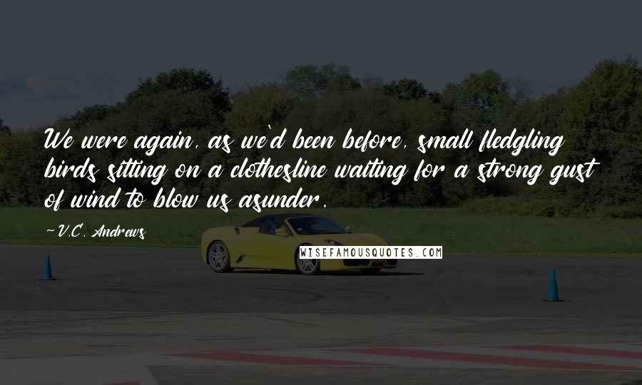 V.C. Andrews Quotes: We were again, as we'd been before, small fledgling birds sitting on a clothesline waiting for a strong gust of wind to blow us asunder.