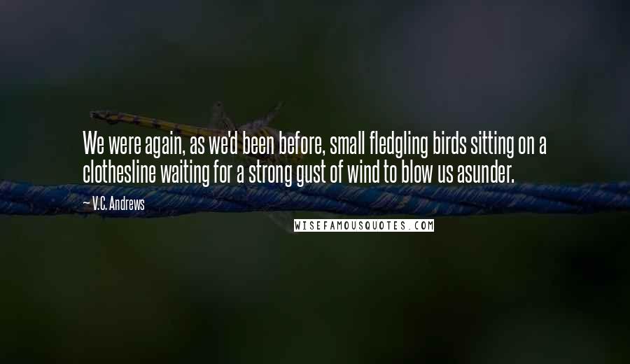 V.C. Andrews Quotes: We were again, as we'd been before, small fledgling birds sitting on a clothesline waiting for a strong gust of wind to blow us asunder.