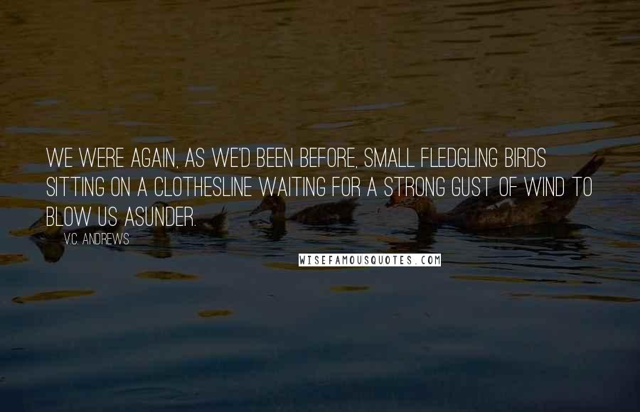 V.C. Andrews Quotes: We were again, as we'd been before, small fledgling birds sitting on a clothesline waiting for a strong gust of wind to blow us asunder.