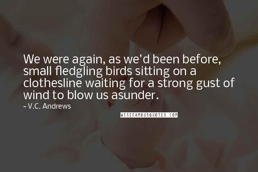 V.C. Andrews Quotes: We were again, as we'd been before, small fledgling birds sitting on a clothesline waiting for a strong gust of wind to blow us asunder.