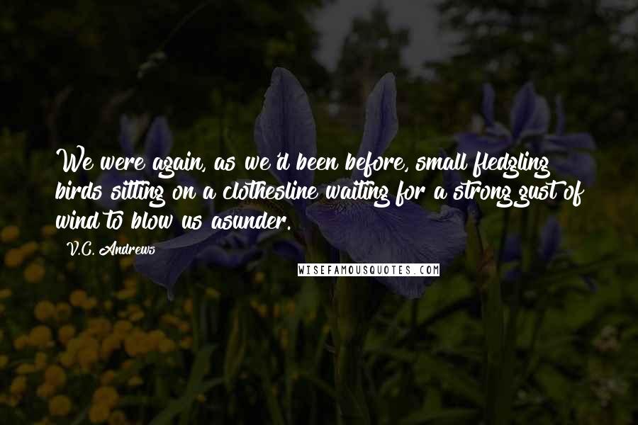 V.C. Andrews Quotes: We were again, as we'd been before, small fledgling birds sitting on a clothesline waiting for a strong gust of wind to blow us asunder.