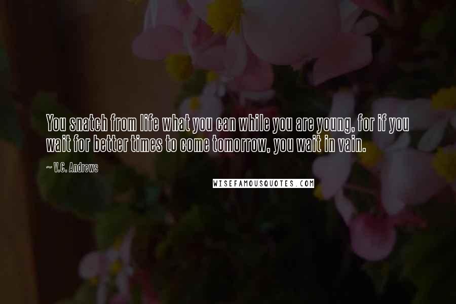 V.C. Andrews Quotes: You snatch from life what you can while you are young, for if you wait for better times to come tomorrow, you wait in vain.