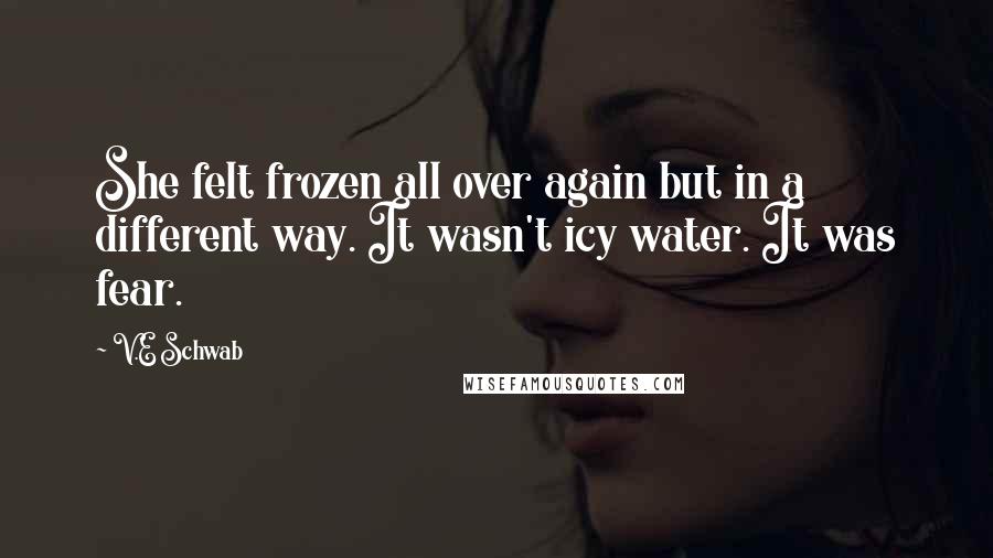 V.E Schwab Quotes: She felt frozen all over again but in a different way. It wasn't icy water. It was fear.