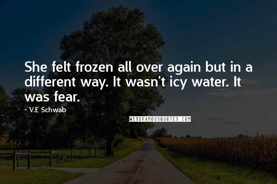 V.E Schwab Quotes: She felt frozen all over again but in a different way. It wasn't icy water. It was fear.