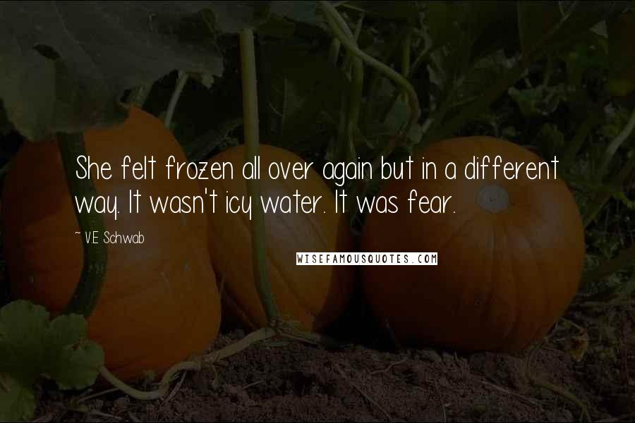 V.E Schwab Quotes: She felt frozen all over again but in a different way. It wasn't icy water. It was fear.