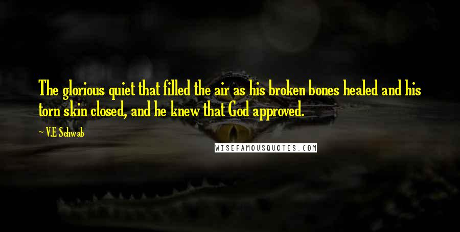 V.E Schwab Quotes: The glorious quiet that filled the air as his broken bones healed and his torn skin closed, and he knew that God approved.