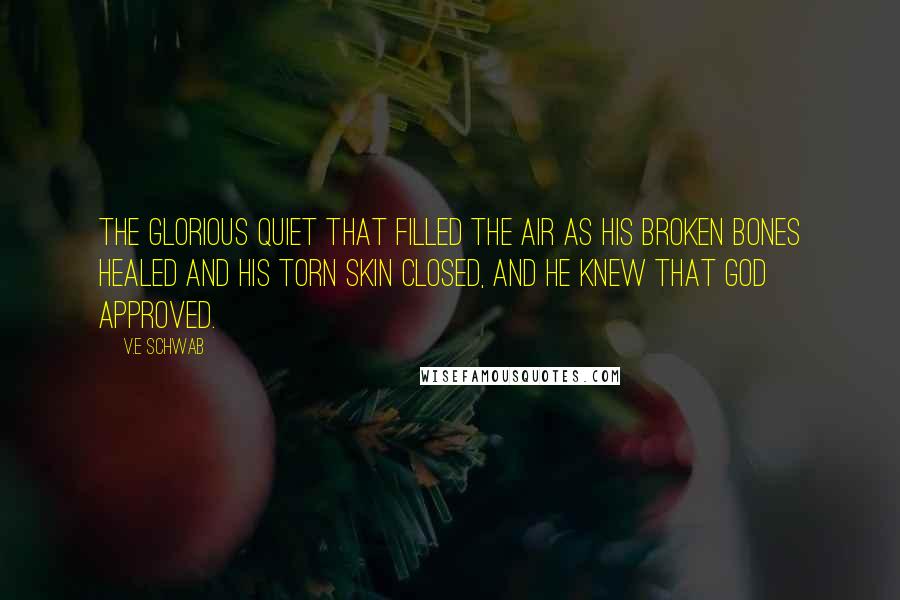 V.E Schwab Quotes: The glorious quiet that filled the air as his broken bones healed and his torn skin closed, and he knew that God approved.