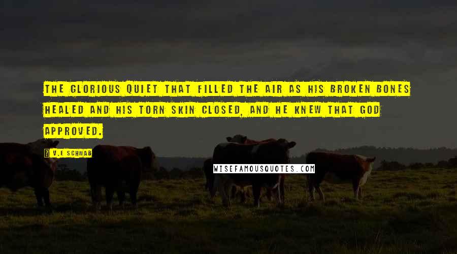 V.E Schwab Quotes: The glorious quiet that filled the air as his broken bones healed and his torn skin closed, and he knew that God approved.