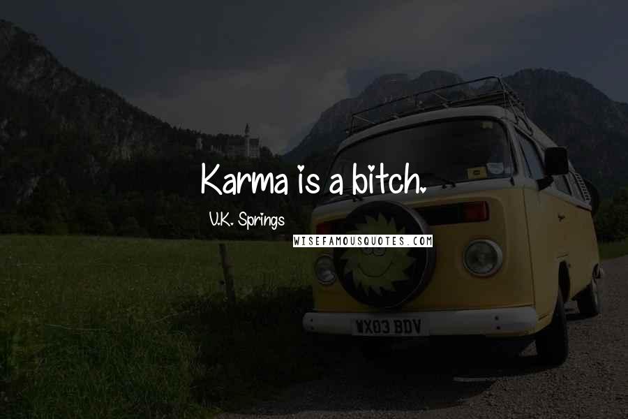 V.K. Springs Quotes: Karma is a bitch.