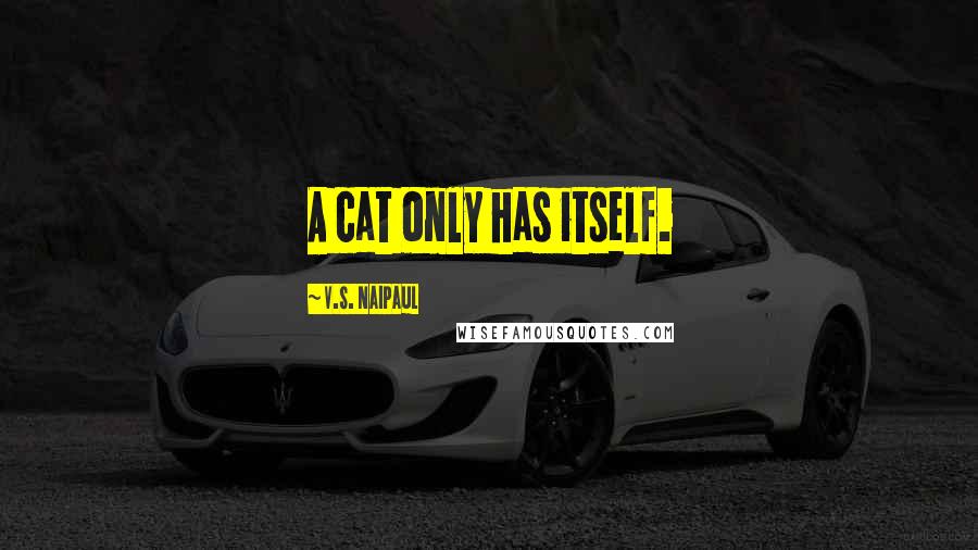 V.S. Naipaul Quotes: A cat only has itself.