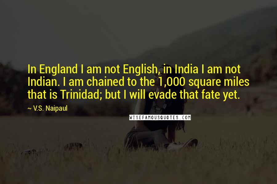 V.S. Naipaul Quotes: In England I am not English, in India I am not Indian. I am chained to the 1,000 square miles that is Trinidad; but I will evade that fate yet.